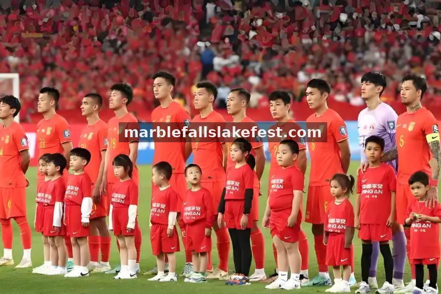 比分大师数据可视化报告服务